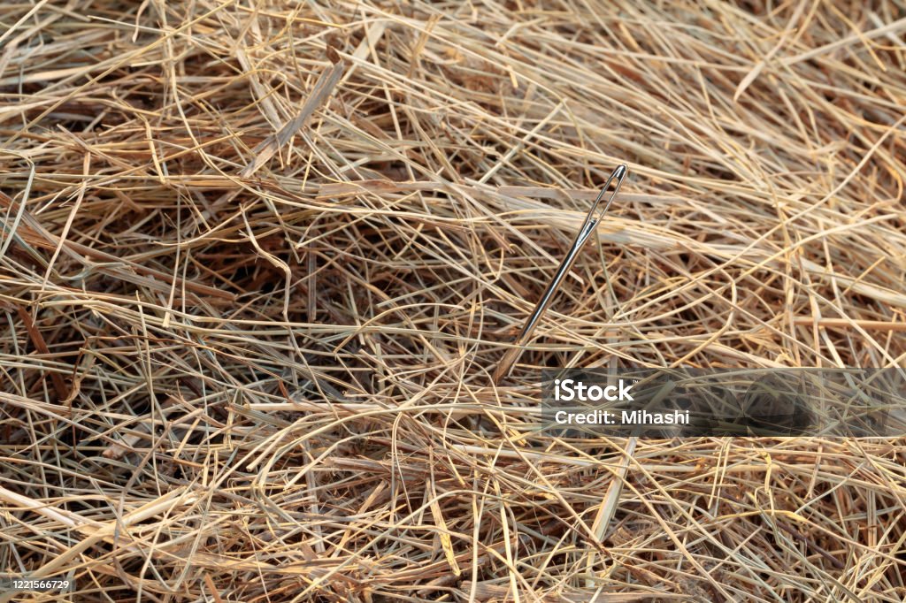 needle in a haystack Haystack Stock Photo