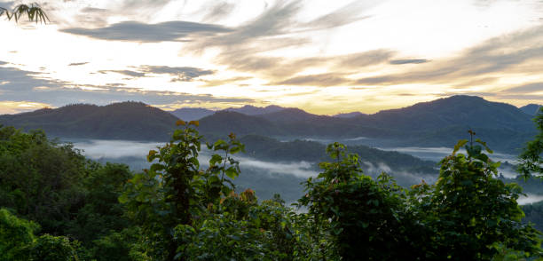 istock Forest and mountain in Sukhothai District, Thailand Jul 2019 1221569073
