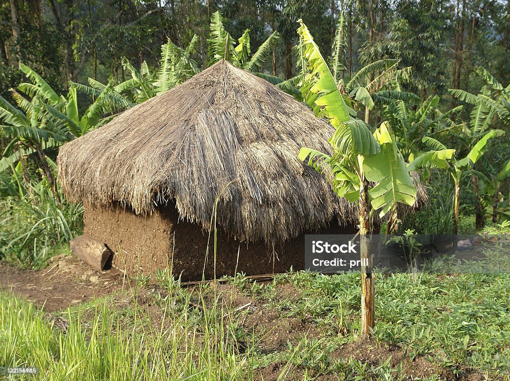 小型の小屋にルウェンゾリ山地 - カラー画像のロイヤリティフリーストックフォト