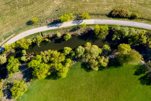 istock An Aerial Road Trip - forest with  road 1221570661