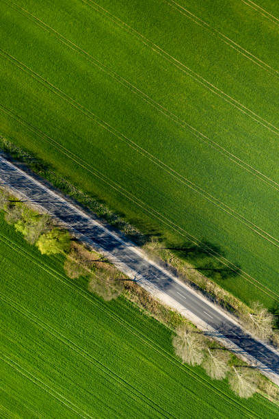 istock An Aerial Road Trip - forest with  road 1221570672