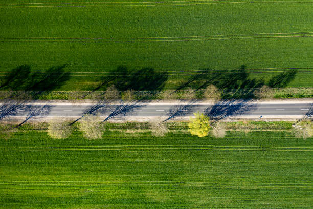 istock An Aerial Road Trip - forest with  road 1221570676