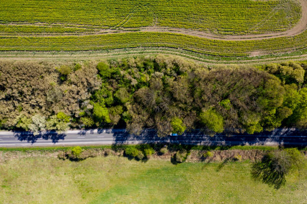istock An Aerial Road Trip - forest with curved road 1221570764
