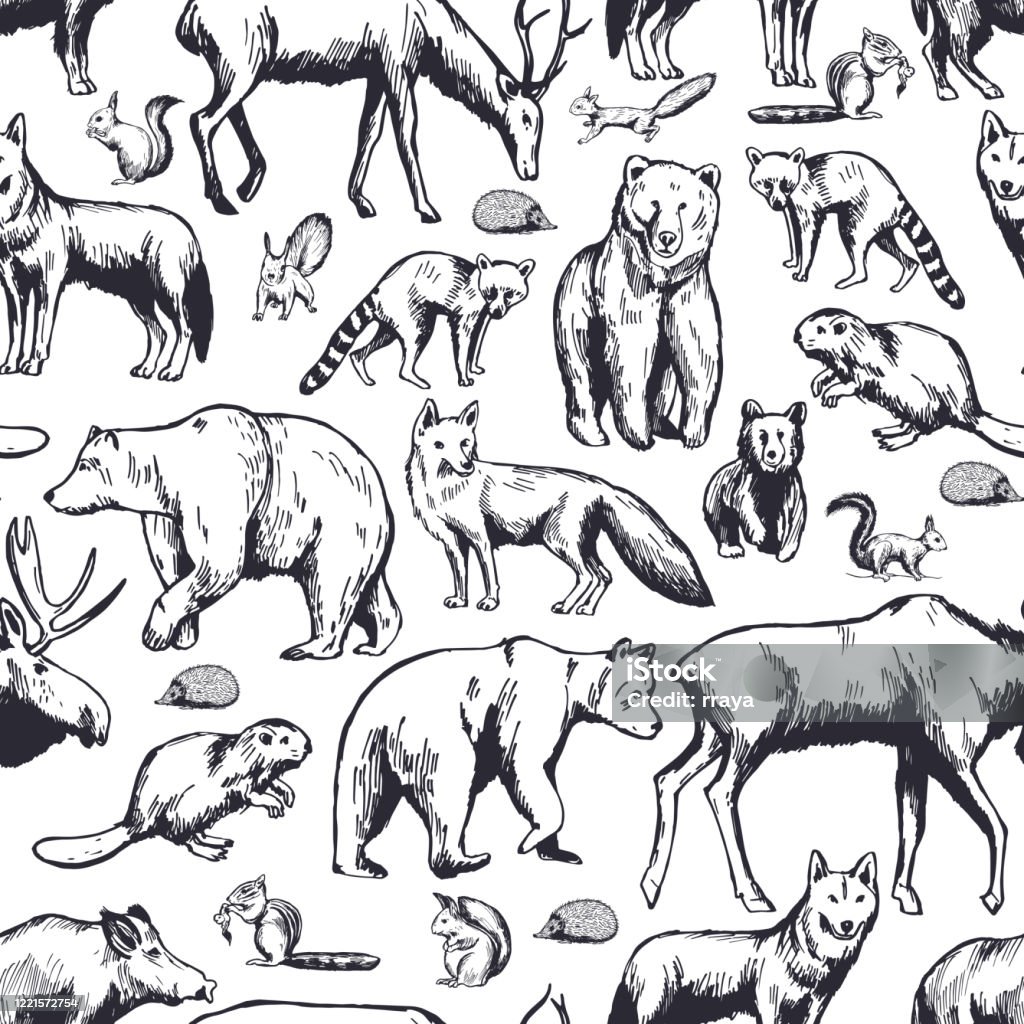 Forest Animals On White Background Vector Pattern Stock Illustration -  Download Image Now - iStock