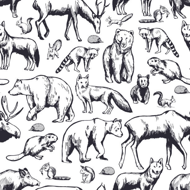 Forest animals on white background. Vector  pattern. Hand drawn forest animals on white background. Vector seamless pattern. wildlife stock illustrations