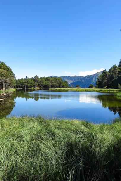 istock Aran valley in the Catalan Pyrenees, Spain 1221575631