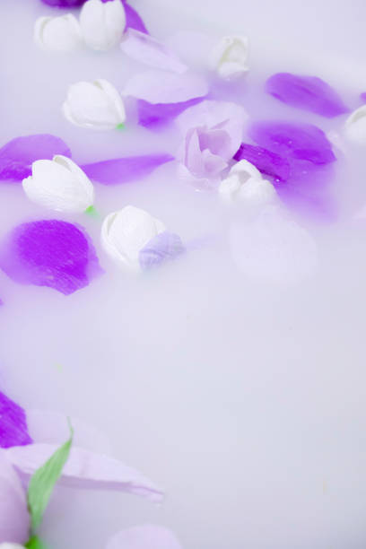 istock violet and white flowers in milk white bath 1221576393