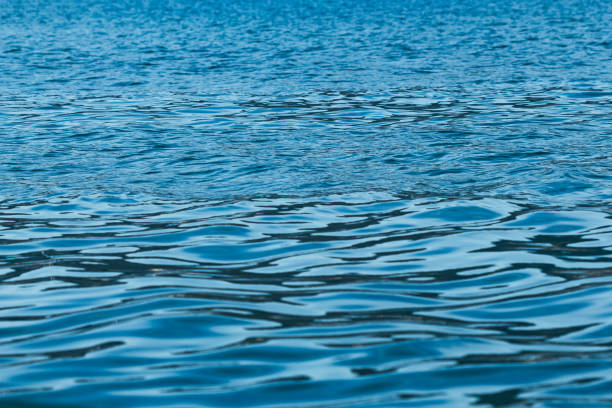 istock Sea water rippling in the morning 1221580807