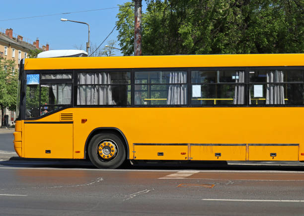 istock Bus standing at the road crossing 1221581410