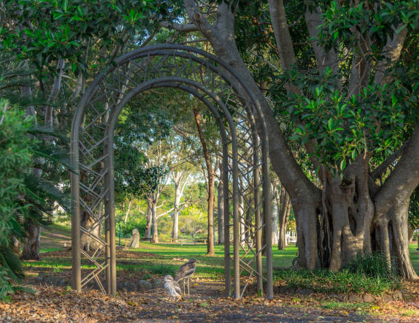 istock Metal archway with two small birds standing below 1221582334
