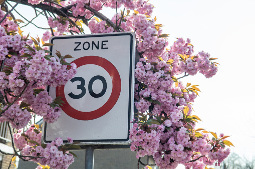 30 speed zone with pink blossom in Residential District