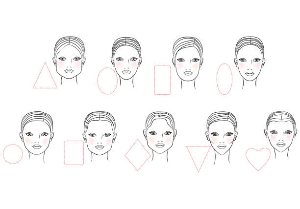 ilustrações de stock, clip art, desenhos animados e ícones de female  shape of the face. line art design. vector illustration - blush