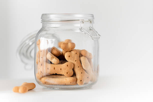 istock dog cookies in a jar on a light background 1221590082