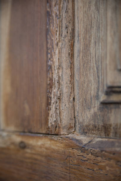 istock restoration of ancient door 1221590392
