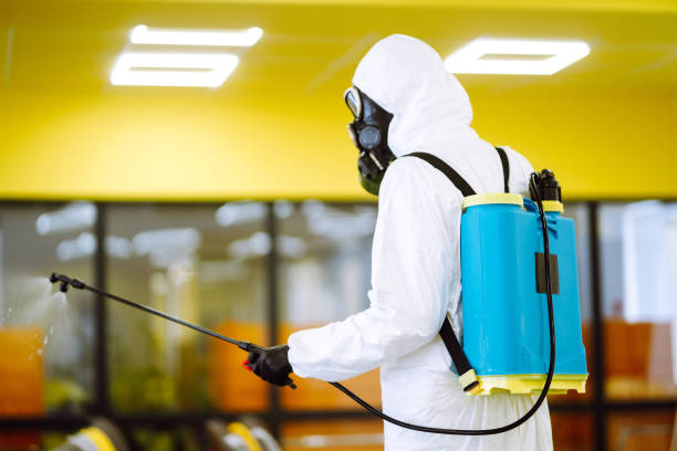 istock Man wearing protective suit disinfecting assembly hall. 1221591282