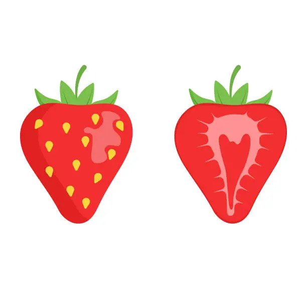 Vector illustration of Strawberry Fruit Icon Flat Design.