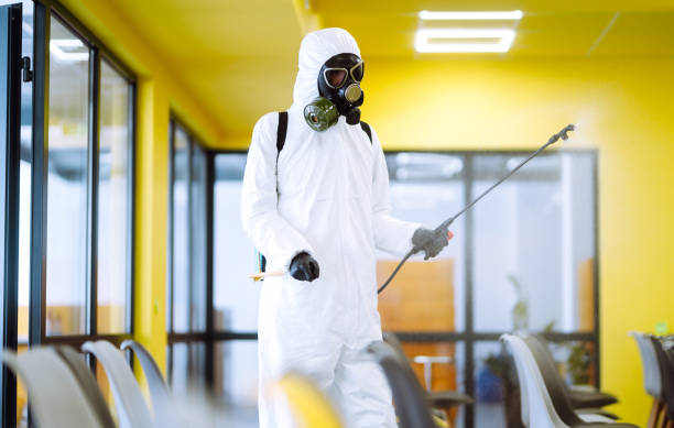 istock Man wearing protective suit disinfecting assembly hall. 1221591377