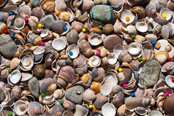 istock Seashells and pebbles natural background with colorful beads 1221591464