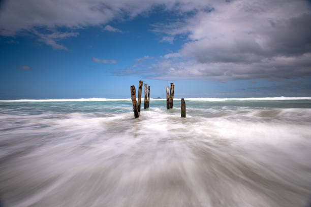 Long stay view at sunny day of an old wood post standing disaster at the shore of the sea for a long time old jetty dunedin stock pictures, royalty-free photos & images