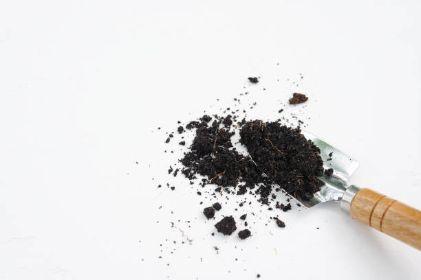istock soil and shovel isolated on white background. top view 1221598064