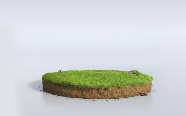 istock Fantasy 3D rendering circle podium grass field, paradise round soil mockup cross section isolated on white empty space 1221598461