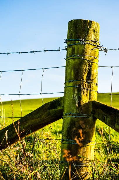 istock Fence line, the typical wood post and barbed wire barrier 1221598505