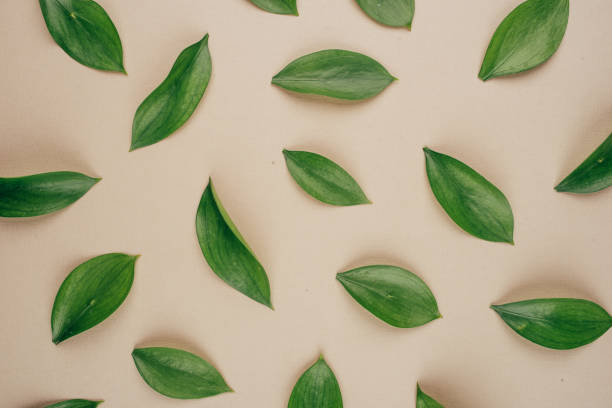 istock Natural background created from fresh green leaves. 1221600290