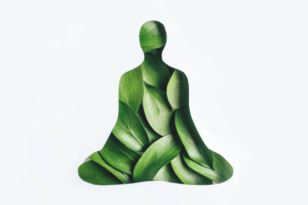 Fresh green leaves shaped in human body isolated on white background.