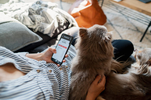 женщина проверка финансов приложение во время отдыха со своими собаками в домашних условиях - animal cell фотографии стоковые фото и изображения