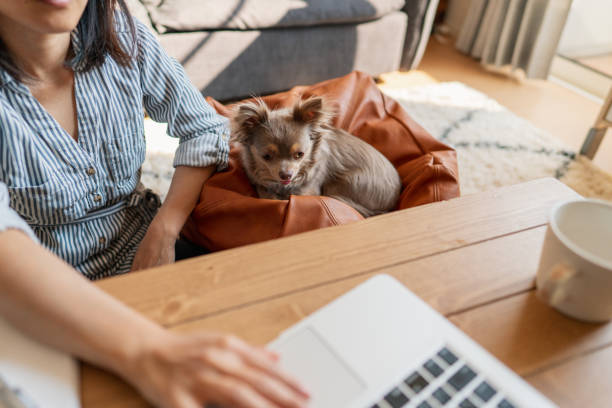 istock Woman working at home with her pet dog 1221605990
