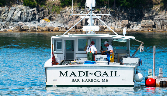 Bar Harbor, Maine, USA - 28 July 2017: After a day of harvesting lobsters two fishermen sort the lobsters by size in to bins on their fishing boat to sell at market in Bar Harbor Maine.