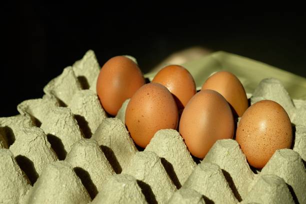 istock Eggs in a crate for concept food and kitchen 1221608338