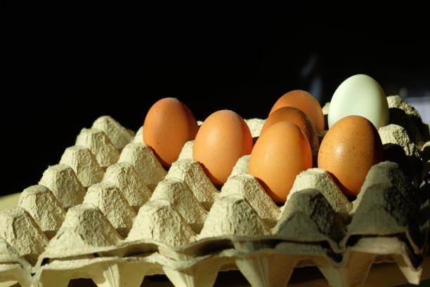 istock Eggs in a crate for concept food and kitchen 1221608390