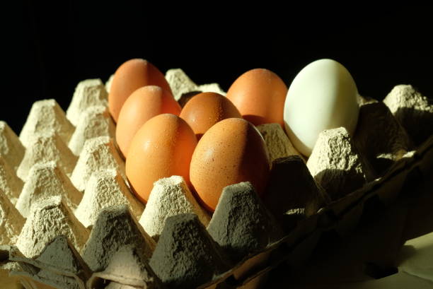 istock Eggs in a crate for concept food and kitchen 1221608494