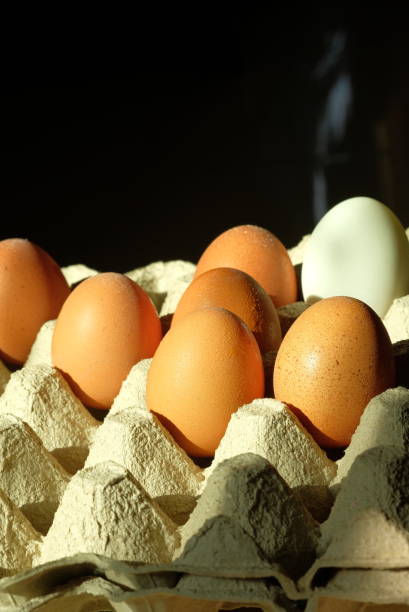 istock Eggs in a crate for concept food and kitchen 1221608544