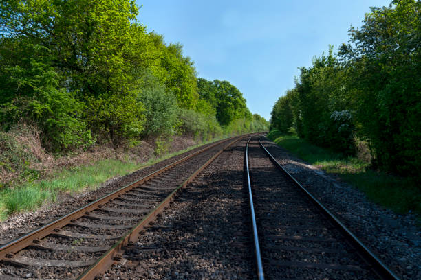 istock Perspective view of parallel railroad tracks 1221610011
