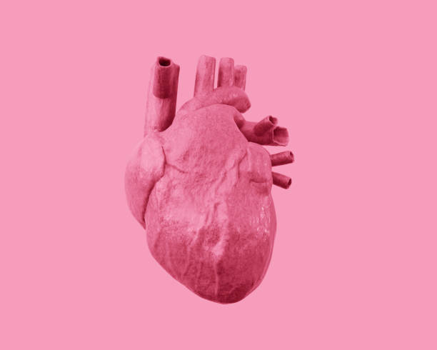 istock Human heart on a pink background. 3d illustration 1221610331