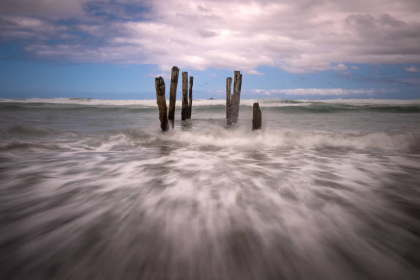At time farmer view at sunny day of an old wood post standing disaster at the shore of the sea for a long time, approach of the sea wave impact to he sand beach old jetty dunedin stock pictures, royalty-free photos & images