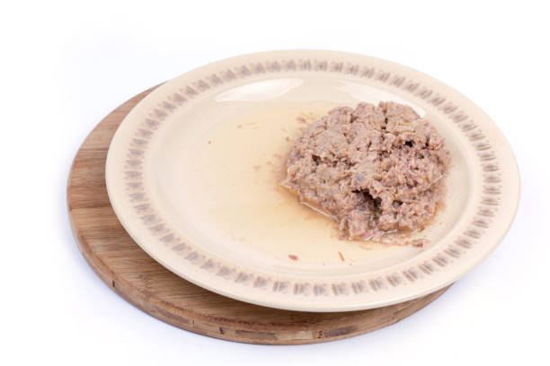 istock Canned tuna served on a plate 1221617874
