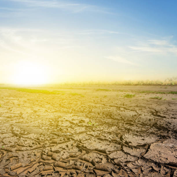 istock dry cracked earth at the sunset 1221620043