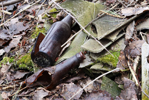 istock ecology problems. broken glass bottles in the forest, in nature. 1221620293