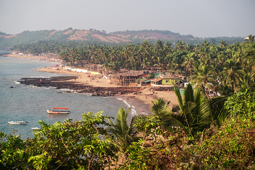 Anjuna beach and nature of northern Goa