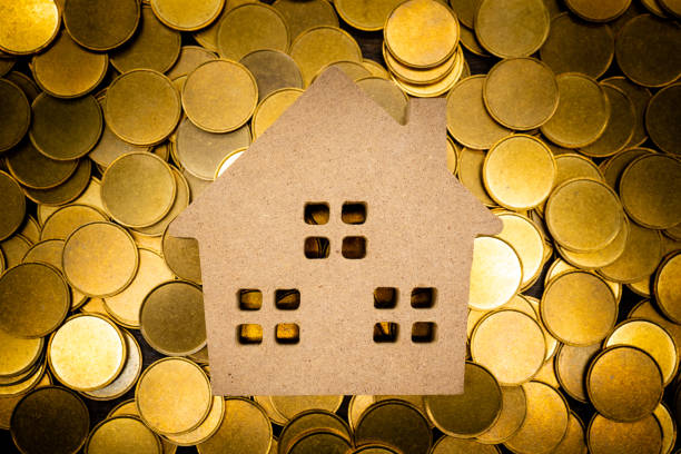 Gold Coin And Model Of Wooden House