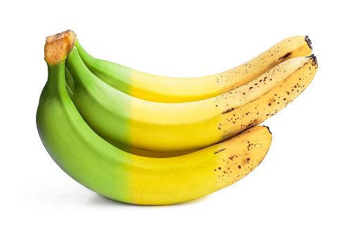 Conceptual  image of half ripe banana bunch showing different stages