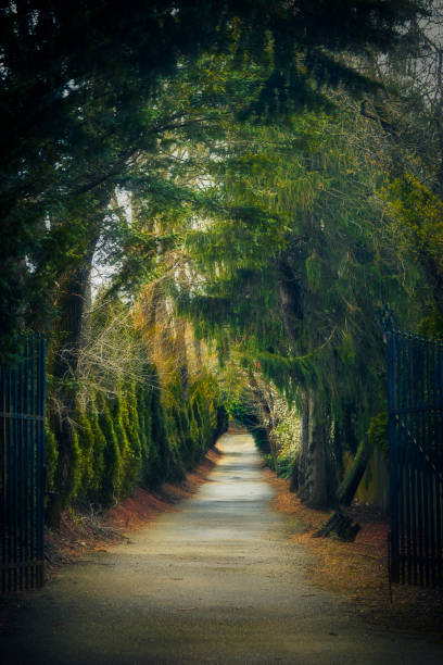 Opening Paths 1,800+ Open Gate Path Stock Photos, Pictures & Royalty-Free Images - iStock