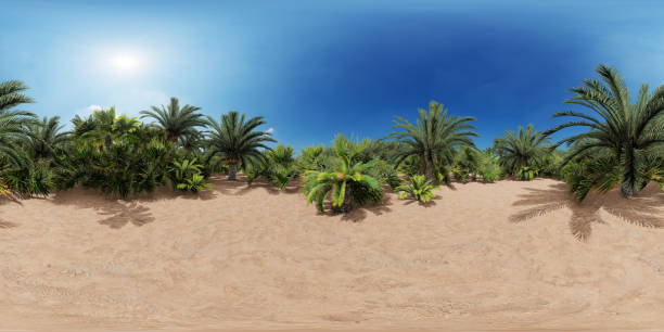 istock Oasis in the Sahara desert - 360 panorama 1221624838