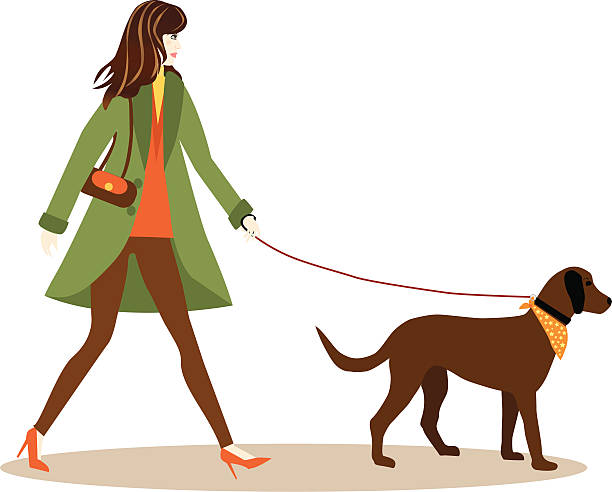 ilustrações, clipart, desenhos animados e ícones de andar com o cachorro - shoe high heels tall women