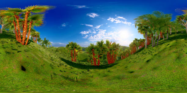 istock Jungle hills in Hawaii, USA 360 panorama 1221624895