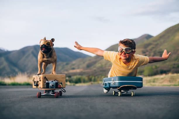 traveling boy and his dog - dog happiness playing pets imagens e fotografias de stock