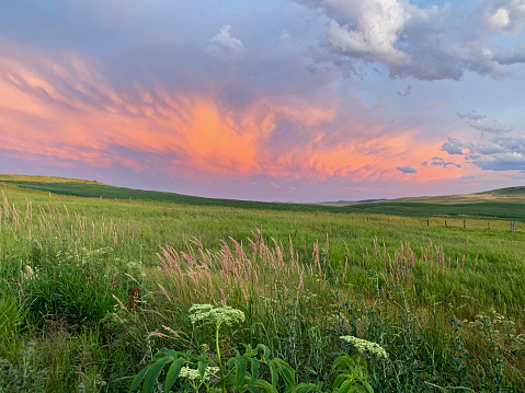Scenic southern Alberta prairie sunset with rolling foothills view near Cardston.